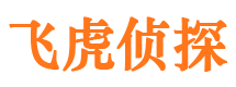 天柱侦探公司